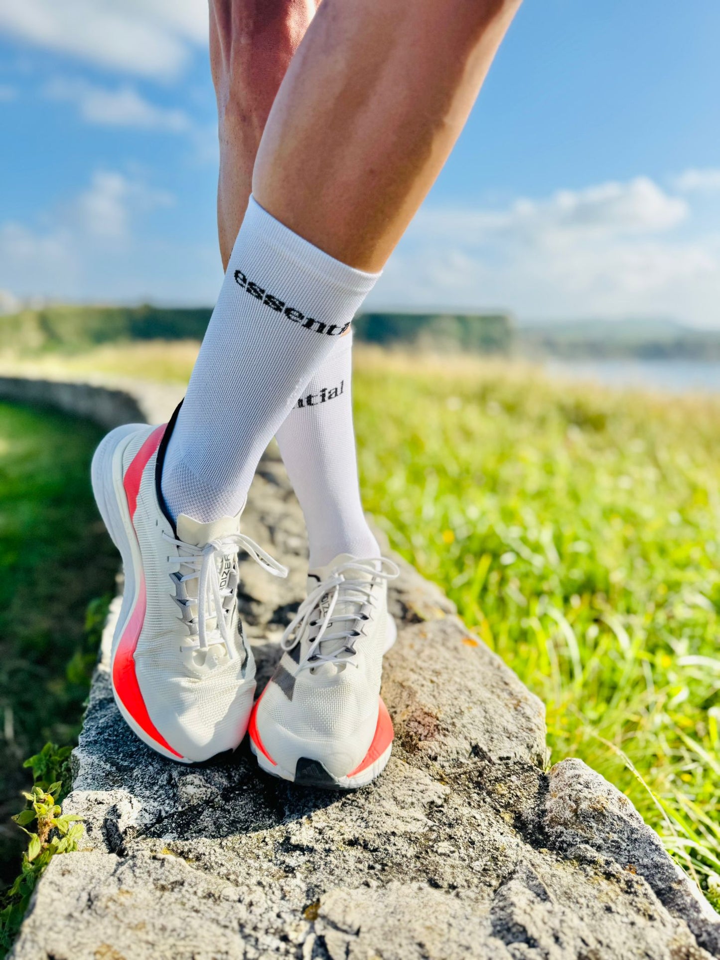 Calcetín running y ciclismo “ESSENTIAL”