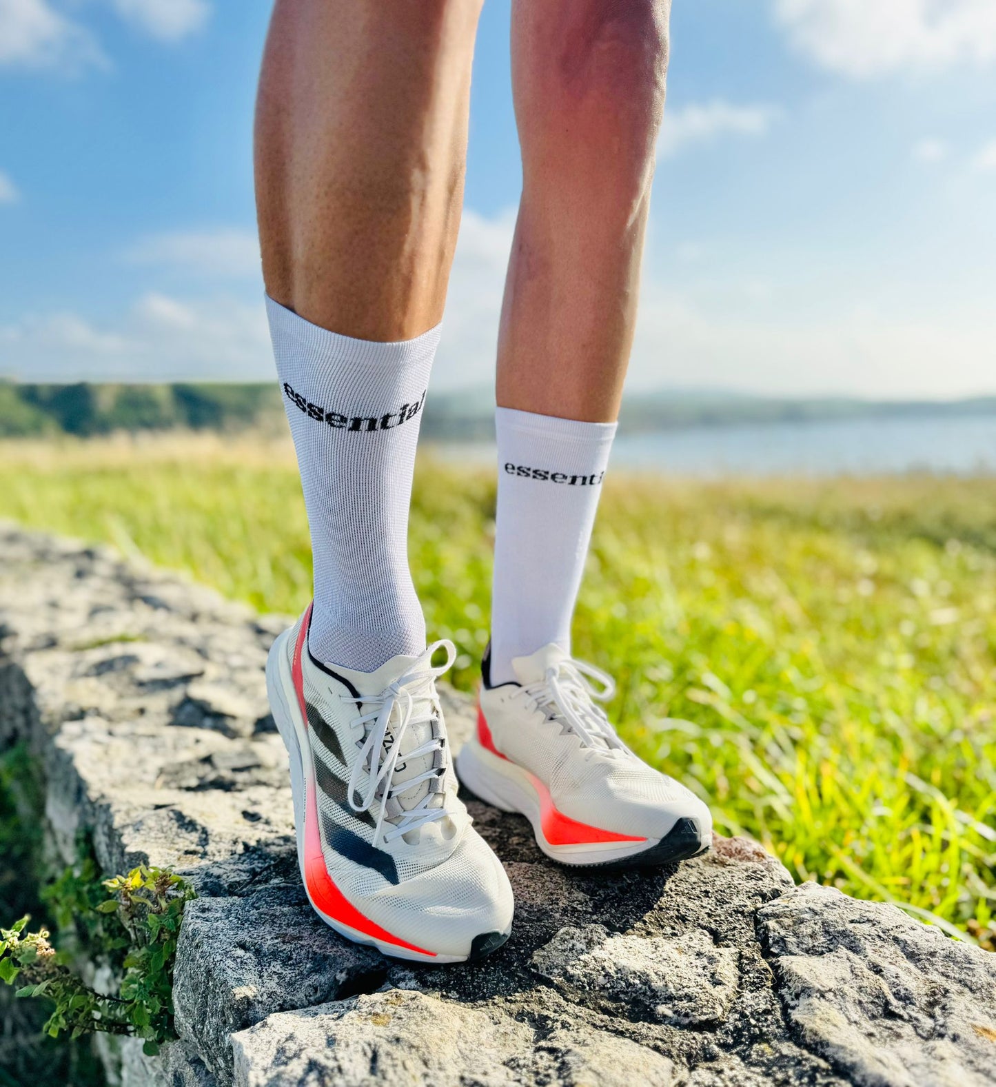 Calcetín running y ciclismo “ESSENTIAL”