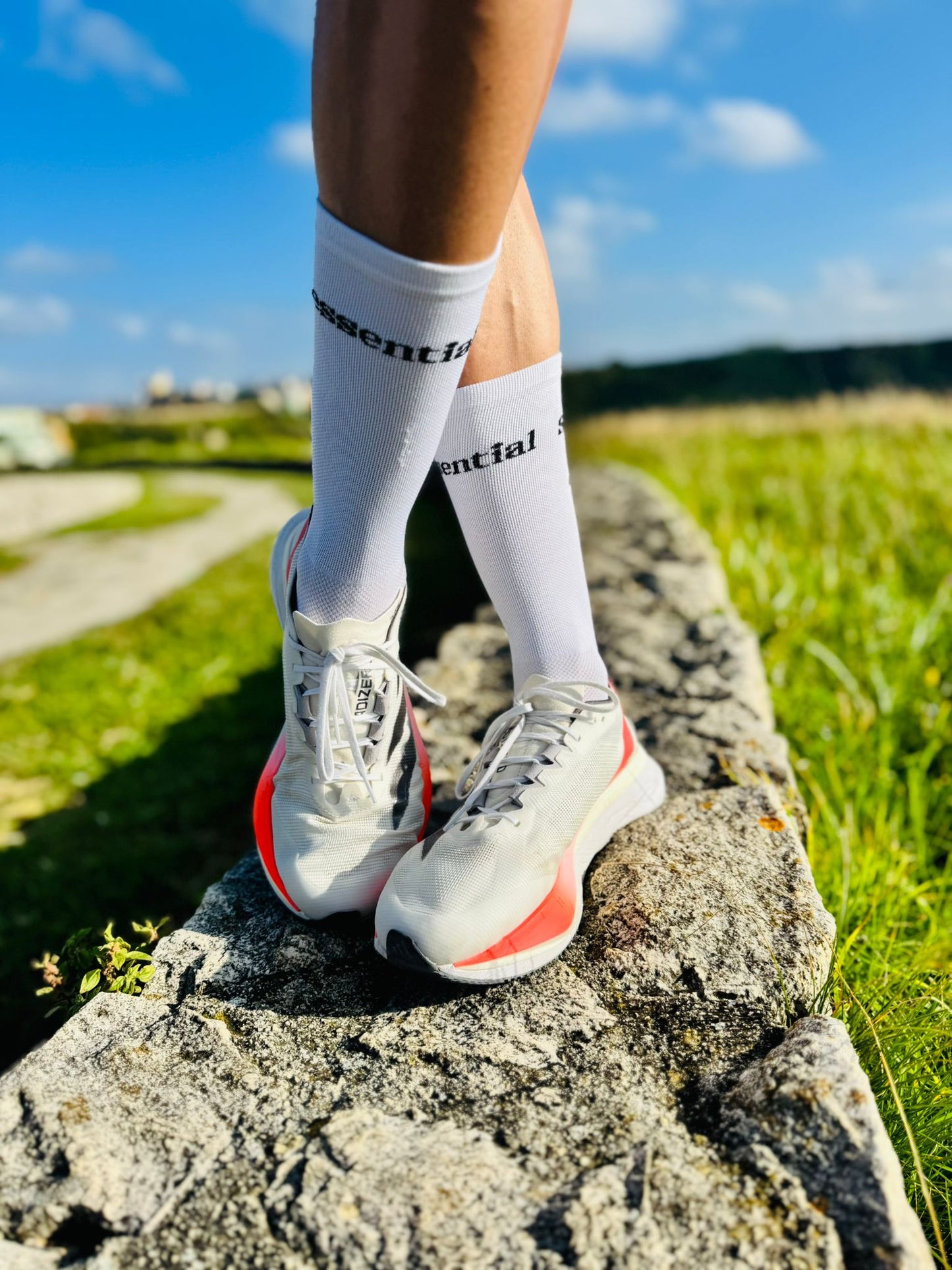 Calcetín running y ciclismo “ESSENTIAL”
